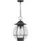 Quoizel Boston 1-Light Mottled Black Mini Pendant BST1511MB - alternate 4